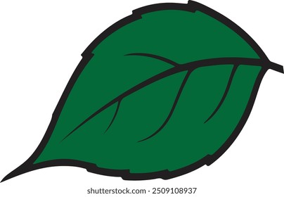 Grüne Blatt-Vektorgrafik mit weißem Hintergrund