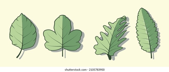 Green leaf vector collection set, tropical green eucalyptus green art, natural leaf herbal leaves.