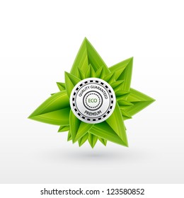 Green leaf vector concept