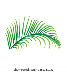 Green leaf vector design, leaf vector art illustration