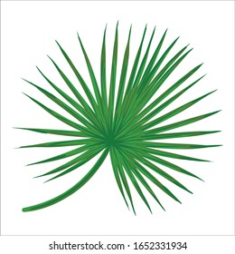 Green leaf vector design, leaf vector art illustration