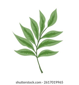 Green Leaf Vector Design Element