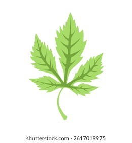 Green Leaf Vector Design Element