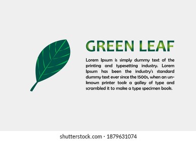 Green leaf vector design,  leaves icon,  environment eco sign. Landing page vector design.  Digital marketing and social media content   