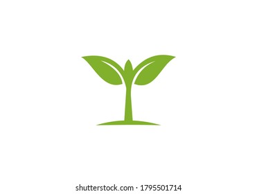 green leaf vector design logo
