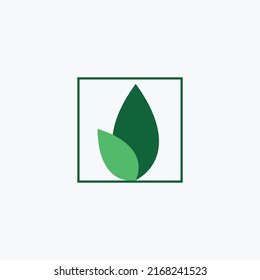 green leaf vector design logo set on white background