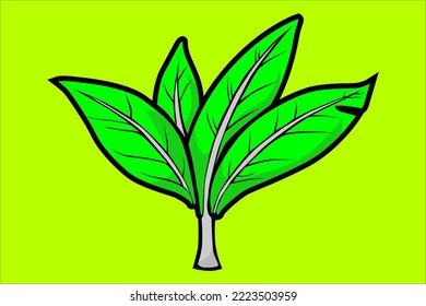 green leaf vector design looks fresh and bright with the stem