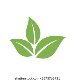 Green Leaf Vector, Eco Leaves Spa Logo Template