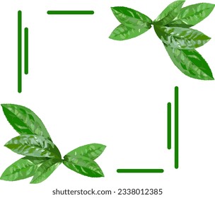 green leaf vector, leaf frame, leaf shaped decoration, leaf element
