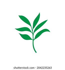 Green leaf vector icon. botany illustration sign . ecology symbol. eco sign.