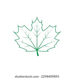 Green leaf vector icon. botany illustration sign . ecology symbol. eco sign.