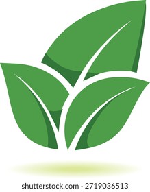 Icono de Vector de hoja verde. Símbolo ecológico. Signo natural del producto, icono verde del Vector de la hoja para el diseño vegano, bio eco. Logotipo de hierbas vegetarianas, veganas, ecológicas y orgánicas del Vector de hoja verde, diseño del concepto de bosque floral de la planta y del árbol de Bio. Icono aislado de las hojas en el fondo blanco con la sombra, muestra natural del producto. Ilustración vectorial verde de la hoja aislada.