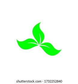 Green leaf vector icon. Flat icon symbol of a leaf plant

