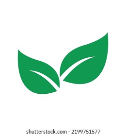 Green leaf vector icon illustration.