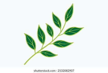 Green leaf vector icon illustration