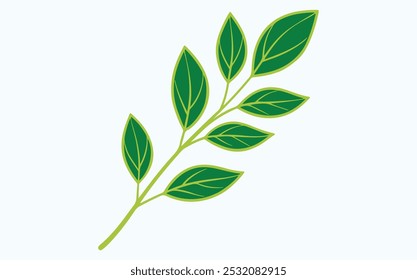 Green leaf vector icon illustration