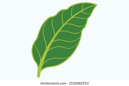 Green leaf vector icon illustration