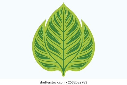 Green leaf vector icon illustration