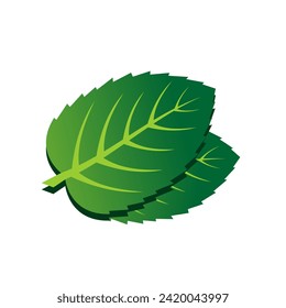 green leaf vector icon on white background