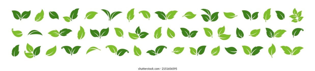 Green leaf vector icon, organic set, sprout plant, foliage different shape, eco symbol isolated on white background. Herbal nature illustration