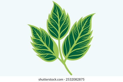 Green Leaf Vector Icon,Eco Nature Botanical Symbol