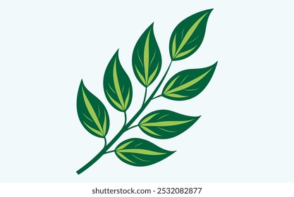Green Leaf Vector Icon,Eco Nature Botanical Symbol