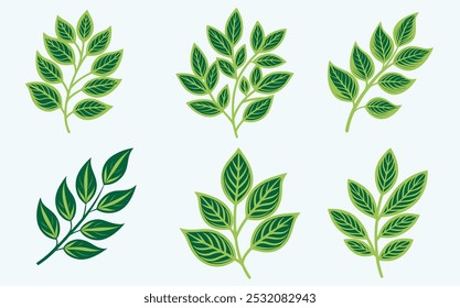 Green Leaf Vector Icon,Eco Nature Botanical Symbol