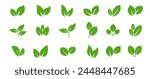 Green leaf vector icons. Eco leaf logo. Simple linear leaves of trees and plants. Elements for eco friendly and bio logo,vegan. Green leaves collection. Ecology leaf element.
