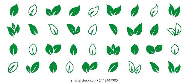 Iconos de vector de hoja verde. Logotipo de hoja ecológica. Hojas lineales simples de árboles y plantas. Elementos para eco friendly y bio logo, vegano. Colección de hojas verdes. Elemento de hoja de ecología.