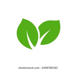 Green leaf vector icons. Eco leaf logo. Simple linear leaves of trees and plants. Elements for eco friendly and bio logo,vegan. Green leaves collection. Ecology leaf element.