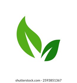 Green leaf vector icons. Eco leaf logo. Simple linear leaves of trees and plants. Elements for eco friendly and bio logo,vegan. Green leaves collection. Ecology leaf element.
