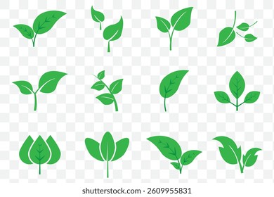 Green leaf vector icons. Eco leaf logo. Simple linear leaves of trees and plants. Elements for eco friendly and bio logo, vegan. Green leaves collection. Ecology leaf element on Transparent Background - Powered by Shutterstock - Get 15% off with code: PIKWIZARD15