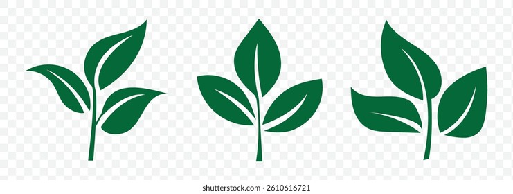 Green leaf vector icons. Eco leaf logo. Simple linear leaves of trees and plants. Elements for eco friendly and bio logo, Green leaves collection. Ecology leaf element. EPS 10.