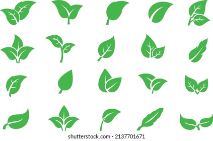 Iconos vectoriales de hoja verde conjunto natural sobre fondo blanco. ilustración del vector hoja.
