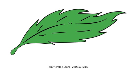 A green leaf vector illustration