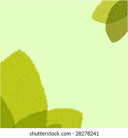 Green leaf. Vector illustration