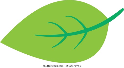 Green leaf vector illustration with detailed veins