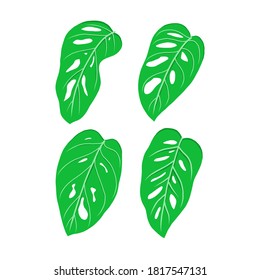 green leaf vector illustration. eco nature symbol. hand drawn style