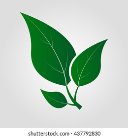Green leaf vector illustration. Eco icon. Green planet