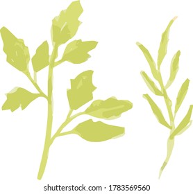 Green Leaf Vector Illustration Elements