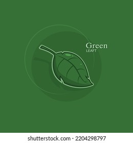 Green leaf vector illustration, logo and background