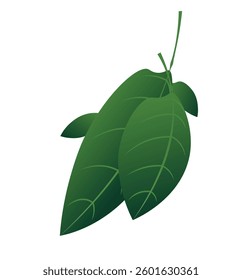 Green Leaf Vector Illustration Minimalist