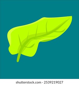 Ilustração do vetor da folha verde - Elementos de design naturais, orgânicos e ecologicamente corretos
