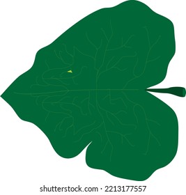 Green leaf vector illustration on white background