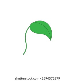 Green leaf vector illustration on white background. Ecology nature symbol
