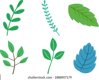 green Leaf vector illustration set