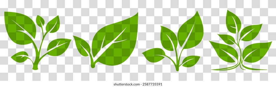 Green leaf vector illustrations showcasing various shapes and arrangements suitable for eco-friendly designs and nature themes