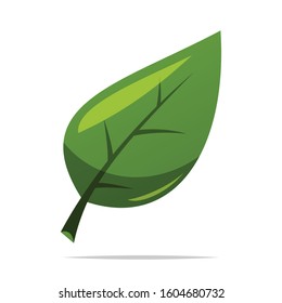 Green leaf vector isolated illustration