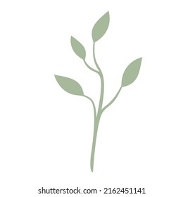 Green Leaf vector isolated on white background. Leaves in modern flat style.
