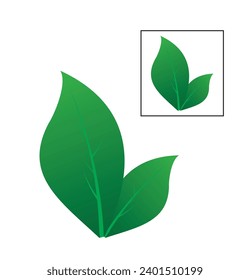 Green leaf vector. Leaves icon on isolated background. Collection green leaf. design for natural